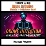 Drone Initiation Module 3 - Daily Drone Reset