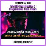 Identity Destruction 3 - Programmed From Ashes